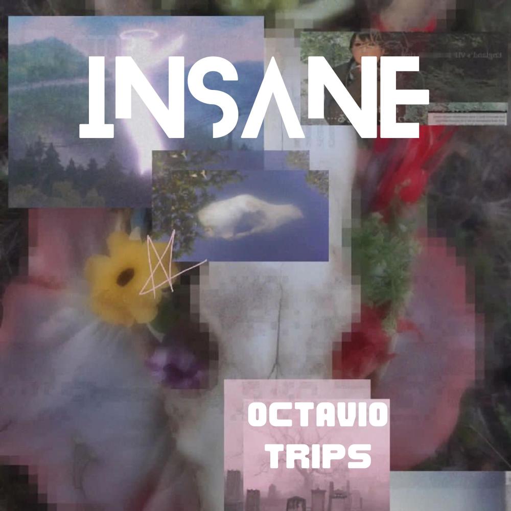 INSANE (feat. Kid Kay) (Explicit)
