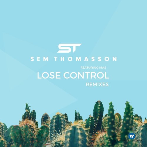 Lose Control (feat. Mãs) [David Puentez & MTS Radio Edit] (David Puentez & MTS Radio Edit)