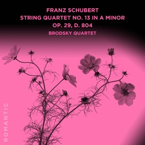 ดาวน์โหลดและฟังเพลง String Quartet No. 13 in A Minor Op. 29, D. 804: I. Allegro ma non troppo พร้อมเนื้อเพลงจาก Brodsky Quartet