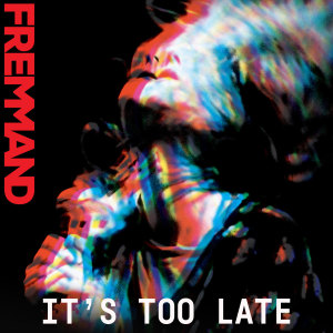 Dengarkan lagu It's too Late (Radio edit) nyanyian Fremmand dengan lirik