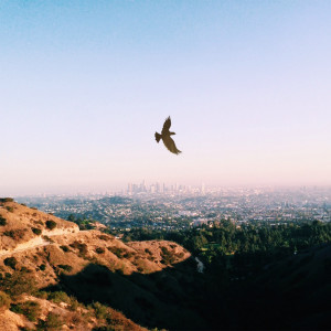 Listen to Eagles song with lyrics from Surahn