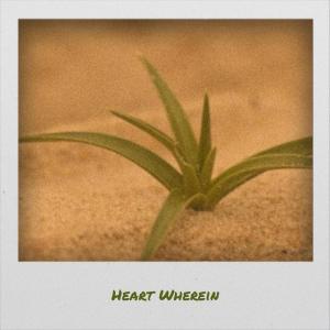 Album Heart Wherein from 