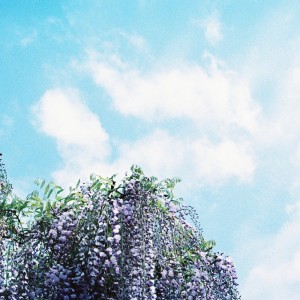 Listen to I'll Still Call (Orchestral Rework) (Instrumental) song with lyrics from Jon Notar