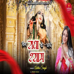 ดาวน์โหลดและฟังเพลง Bin Radha Ke Adhe Shyam พร้อมเนื้อเพลงจาก Antra Singh