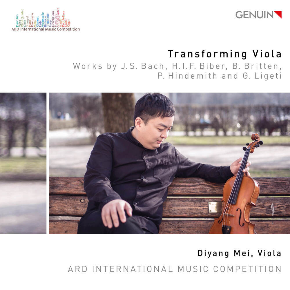Viola Sonata: VI. Chaconne chromatique