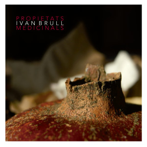 ดาวน์โหลดและฟังเพลง Tant de Bo พร้อมเนื้อเพลงจาก Ivan Brull