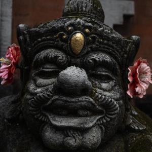 收聽The Mind Of Joshua的Madam, You Have An Incoming Call On The Banana Phone歌詞歌曲