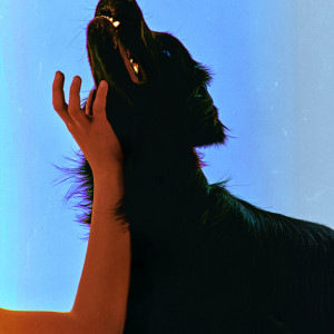 อัลบัม DOG ศิลปิน DAMINI