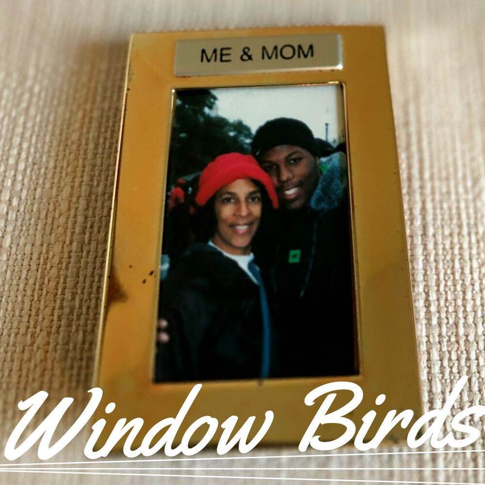 Window Birds
