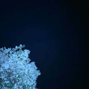 ดาวน์โหลดและฟังเพลง eienwotadayouyozoranihitonigirinosiawasegakoboreru พร้อมเนื้อเพลงจาก Padma