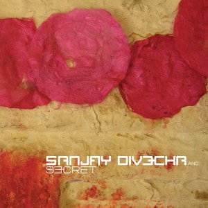 收聽Sanjay Divecha的Saanwara歌詞歌曲