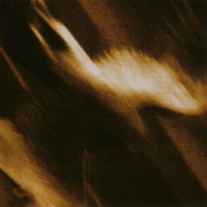 อัลบัม Ashes Against The Grain ศิลปิน Agalloch