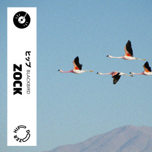 Listen to Blackbird song with lyrics from ZOCK