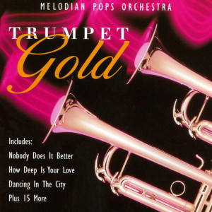 收聽Melodian Pops Orchestra的Two Plus Two歌詞歌曲