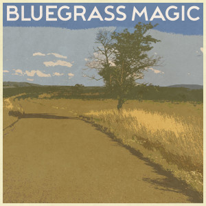 Various Artists的專輯Bluegrass Magic