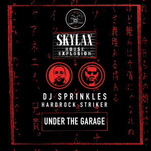 收聽DJ Sprinkles的Damn Fine (Doug Gomez Serenity Mix)歌詞歌曲