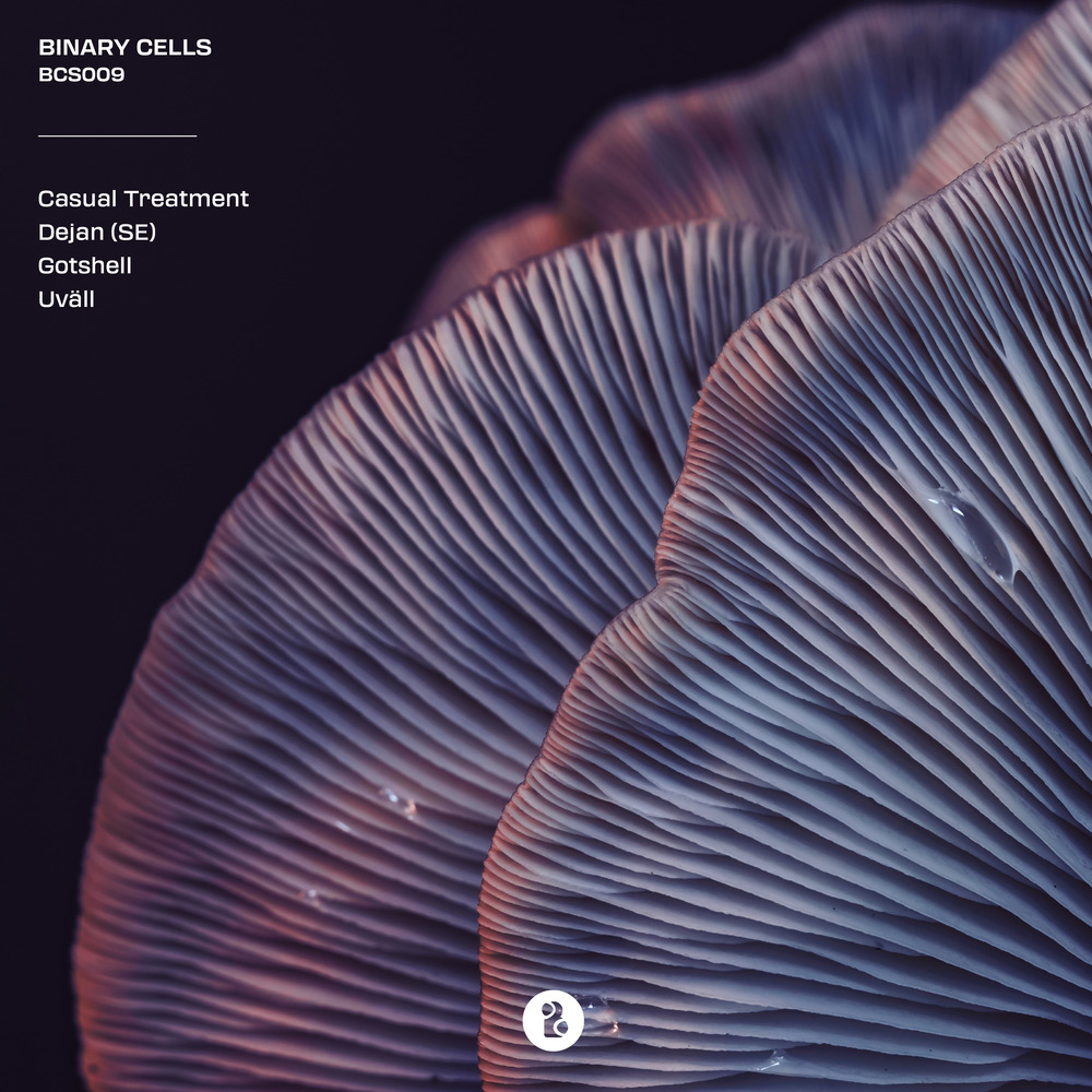 Condiciones Atmosfericas (Original Mix)