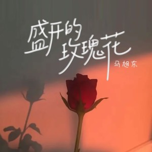 馬旭東的專輯盛開的玫瑰花