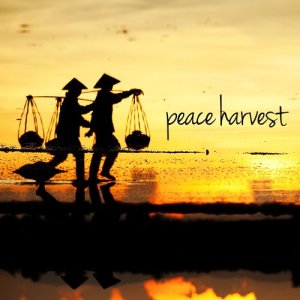 ดาวน์โหลดและฟังเพลง Site of Great Mystery พร้อมเนื้อเพลงจาก Native Flute Ensemble