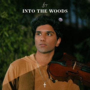 Dengarkan lagu Into the Woods nyanyian Joel Sunny dengan lirik