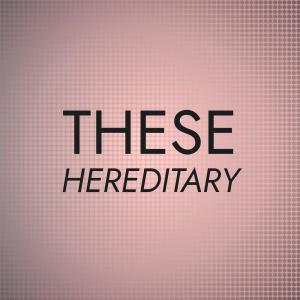 收听Henzo Gert的Perth Lady歌词歌曲