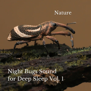 The Deep Sleep Music Academy的專輯Nature: Night Bugs Sound for Deep Sleep Vol. 1