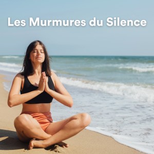 Album Les Murmures du Silence from Piano Sleep
