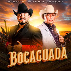 收聽Los De Sonora的Jardin Olvidado歌詞歌曲