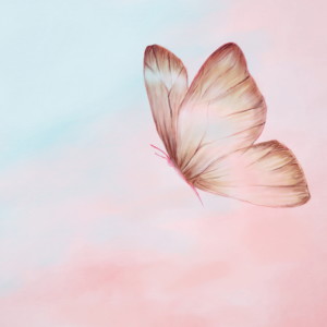 收聽서덕的Butterfly (Inst.)歌詞歌曲