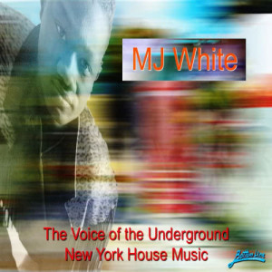 ดาวน์โหลดและฟังเพลง We Will Survive พร้อมเนื้อเพลงจาก MJ White