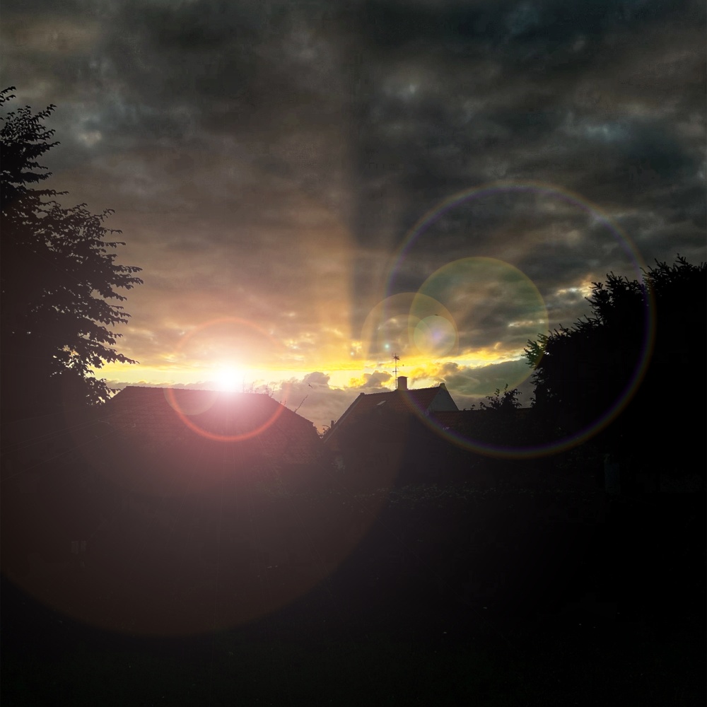 See the Light