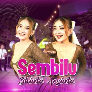 Dengarkan Sembilu lagu dari Shinta Arsinta dengan lirik