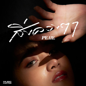 ดาวน์โหลดและฟังเพลง สิ่งลวงตา พร้อมเนื้อเพลงจาก Pelle