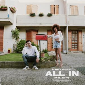 Album All In (feat. Adriana) from Numb