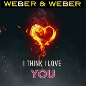 Weber & Weber的專輯I Think I Love You (Short Edit)