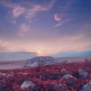 Listen to Debt of Heart song with lyrics from Poetic Quinns