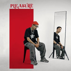 Listen to Pleasure (Explicit) song with lyrics from Flyzad