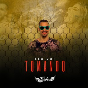 Listen to Ela Vai Tomando song with lyrics from MC Timbu