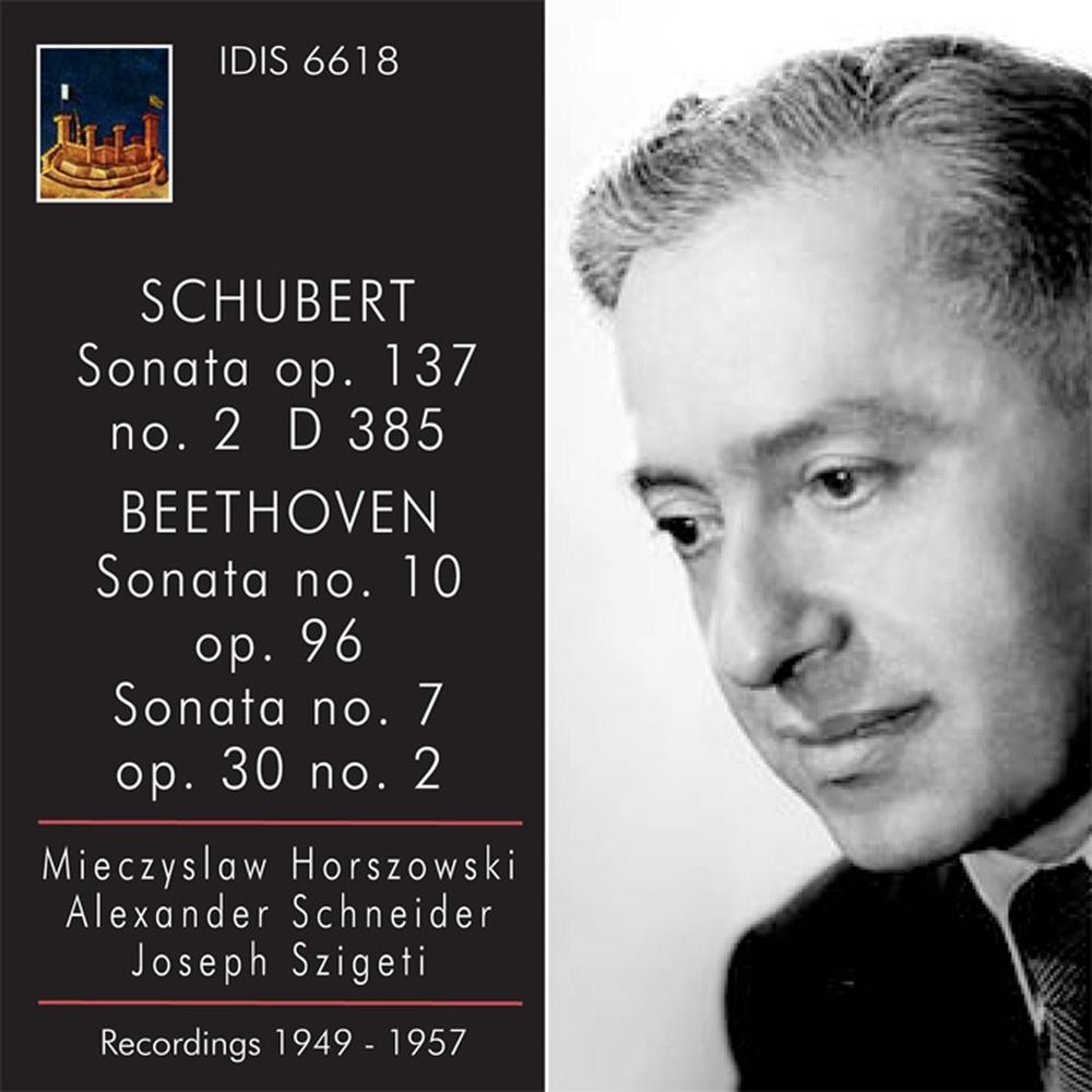Violin Sonata (Sonatina) in A Minor, Op. 137, No. 2, D. 385: IV. Allegro