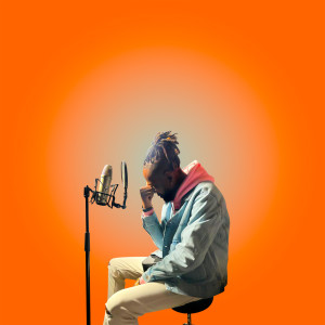 Album Trahison from Stone Komo
