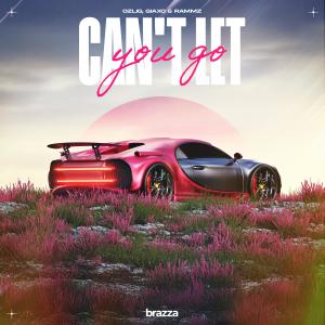 收聽Ozlig的Can't Let You Go歌詞歌曲