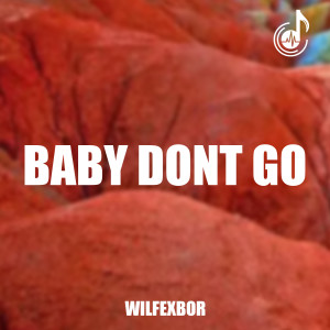 Listen to Baby Dont Go song with lyrics from Wilfexbor