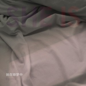 收听朴树的她在睡梦中remix歌词歌曲