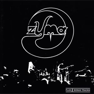 ดาวน์โหลดและฟังเพลง Thoughts พร้อมเนื้อเพลงจาก Zyma