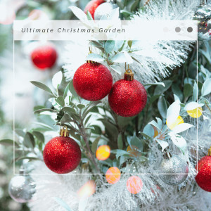 Christmas Songs Remix的專輯4 Christmas Ultimate Christmas Garden