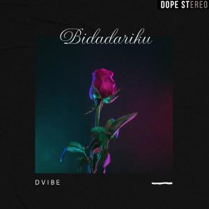 Album Bidadariku from DVIBE