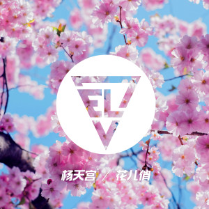 Listen to 花儿俏 song with lyrics from 杨天宫