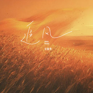 Listen to 追风 (旷野版) song with lyrics from 王富贵