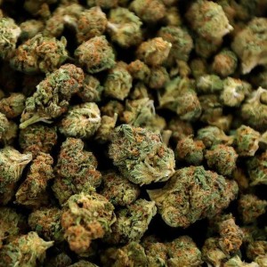 Dengarkan thissongisaboutweed (Explicit) lagu dari Teddie T dengan lirik