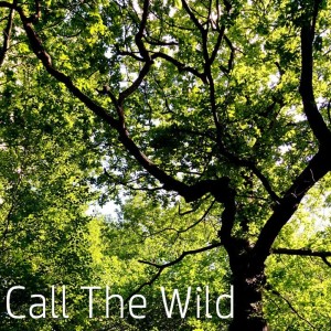 Dengarkan lagu Call The Wild nyanyian Venn Goodwin dengan lirik